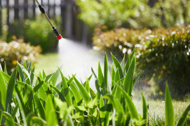 24/7 Emergency Mosquito Control experts in Fountain Hill, PA