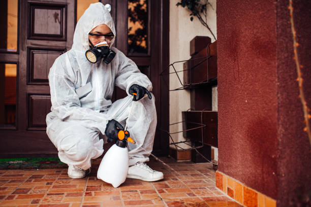 Reliable Mosquito Control contractor in Fountain Hill, PA by Show Me Pest Control