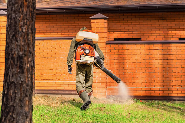 Top rated local Mosquito Control specialists in Fountain Hill, PA